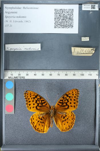 Media type: image;   Entomology 152673